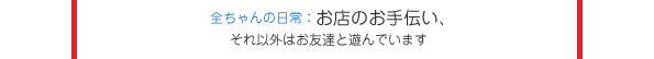 全ちゃんの日常：お店のお手伝い、それ以外はお友達と遊んでいます